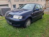 Volkswagen VW Polo 1.4 Benzin - Volkswagen Polo aus 2000: 1.4
