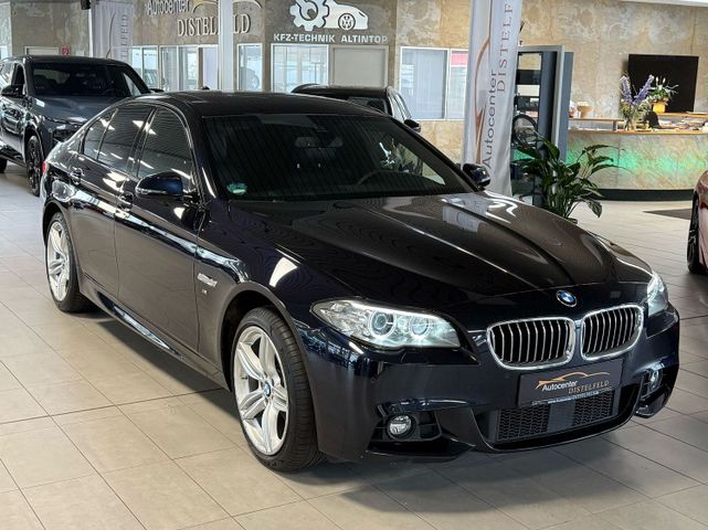 BMW 520 d xDrive M Sport Automatik Bi-Xenon Leder 