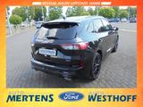 Ford Kuga FHEV ST-Line X AHK Panodach Black Package - gebrauchte Ford SUV & Geländewagen