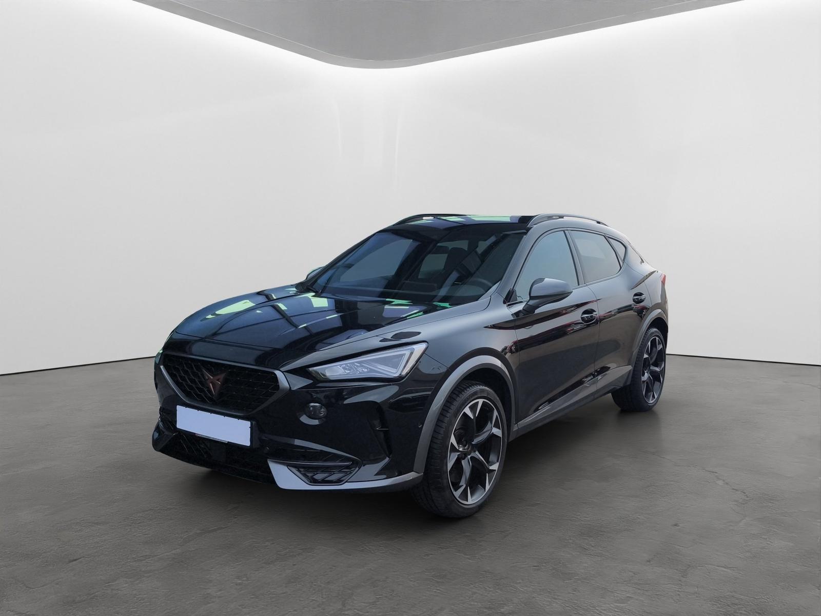 Cupra Formentor 2.0 TSI DSG 4Drive VZ LED+NAVI+BEATS+1, миниатюра 2