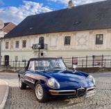 Alfa Romeo Spider - Alfa Romeo Gebrauchtwagen von 1966