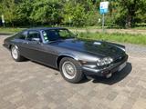Jaguar XJS V12 - Jaguar: V12