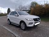 Mercedes-Benz ML 250 BlueTEC 4MATIC - - Mercedes-Benz ML 250: Weiß