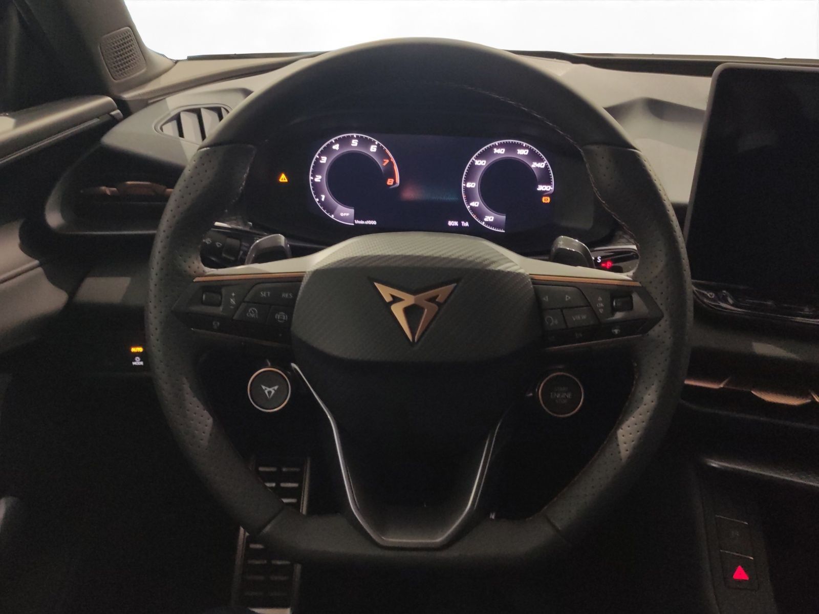 Cupra Terramar - Bild 12