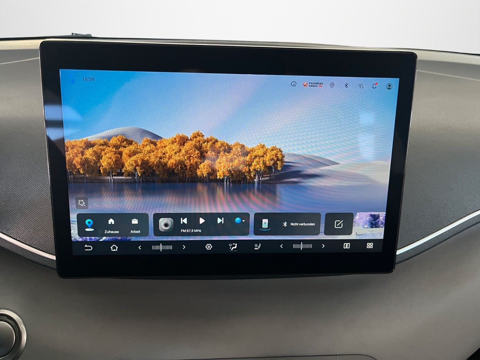 BYD DOLPHIN SURF