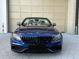 Mercedes-Benz C 63 S AMG Edition 1 Performance AGA Carbon Burm - Mercedes-Benz C 63 AMG: Cabrio