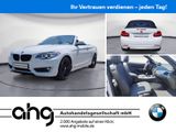 BMW 220i Cabrio Advantage Aut. Navi Business HiFi Si - BMW 220: I
