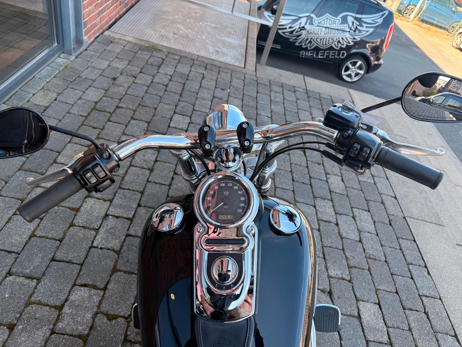 Harley-Davidson FXDF Dyna Fat Bob mit Extras
