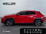 Lexus UX 300h F SPORT Design *LED*CAM*SHZ*CarPlay*PDC* - Lexus UX Jahreswagen