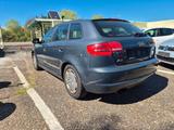 Audi A3 Sportback 1.8 TFSI Ambition - Audi A3 aus 2009: Ambition
