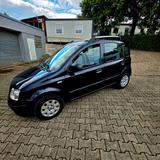 Fiat Panda aus 1 Hand mit erst  54100 km - Fiat Panda Kleinwagen Km h mit Benzin-Antrieb