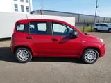 Fiat Panda HYBRID 1.0 GSE 70PS PDC CITY PAKET RADIO 5 - Fiat Panda Gebrauchtwagen in Saarbrücken