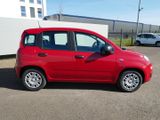 Fiat Panda HYBRID 1.0 GSE 70PS PDC CITY PAKET RADIO 5 - Fiat Panda: Rot