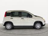 Fiat Panda Hybrid *70PS*DAB*Klima*PDC - Fiat Panda Vorführfahrzeuge