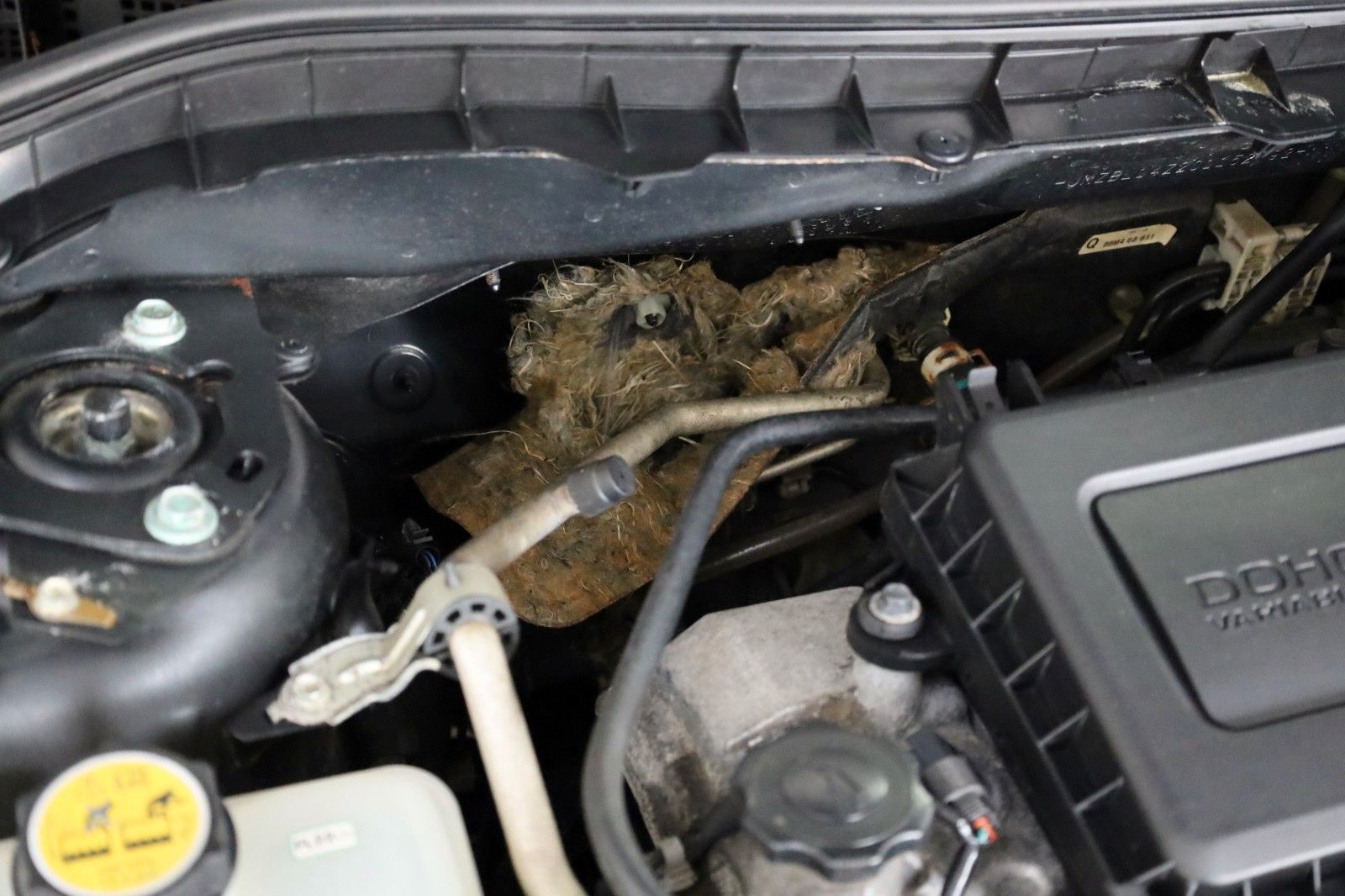 Fahrzeugabbildung Mazda 3 Lim. High-Line Climatronic,SH,PDC,Allwetter