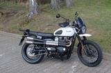 Triumph Street Scrambler 900 - sehr gepflegt mit Zubehör - TRIUMPH STREET SCRAMBLER
