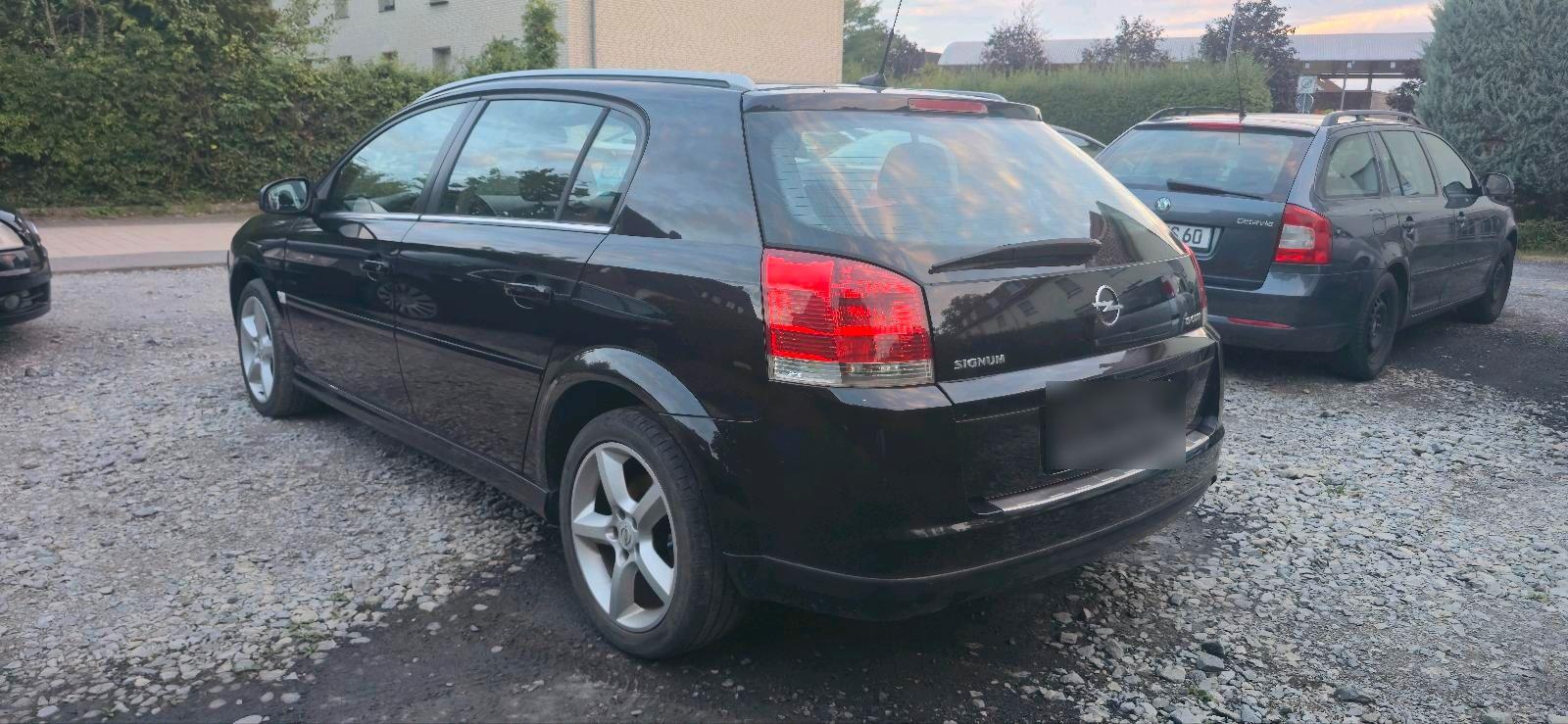 Opel Signum 2007 — photo 5