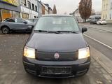 Fiat Panda 1.2 8V MyLive +GARANTIE+ - Fiat Panda: My