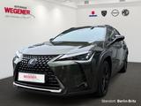 Lexus UX 250h Hybrid CAM*PDC*Totwinkel*CarPlay - Lexus aus 2021
