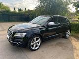 Audi SQ5 3.0 TDI tiptronic quattro 313 PS Keyless Go - Audi SQ5: TDI
