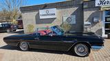 Ford Thunderbird - Ford Thunderbird in Hamburg