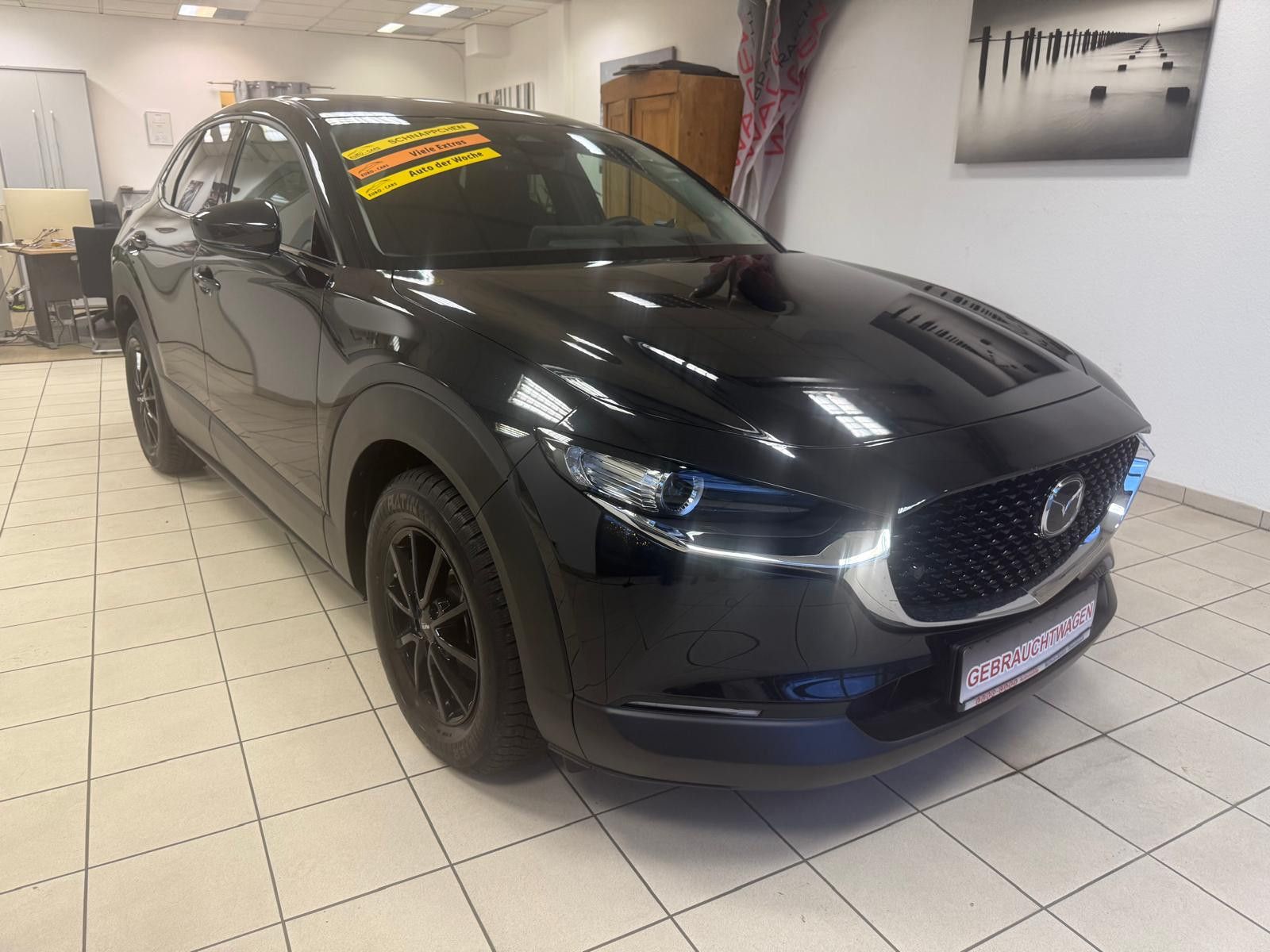 Fahrzeugabbildung Mazda CX-30 Homura 2WD / 1.HAND/ NUR 37.TKM