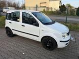 Fiat Panda 1.1 8V Active*TÜV 08/2026 - gebrauchte Fiat Panda aus dem Jahr 2007