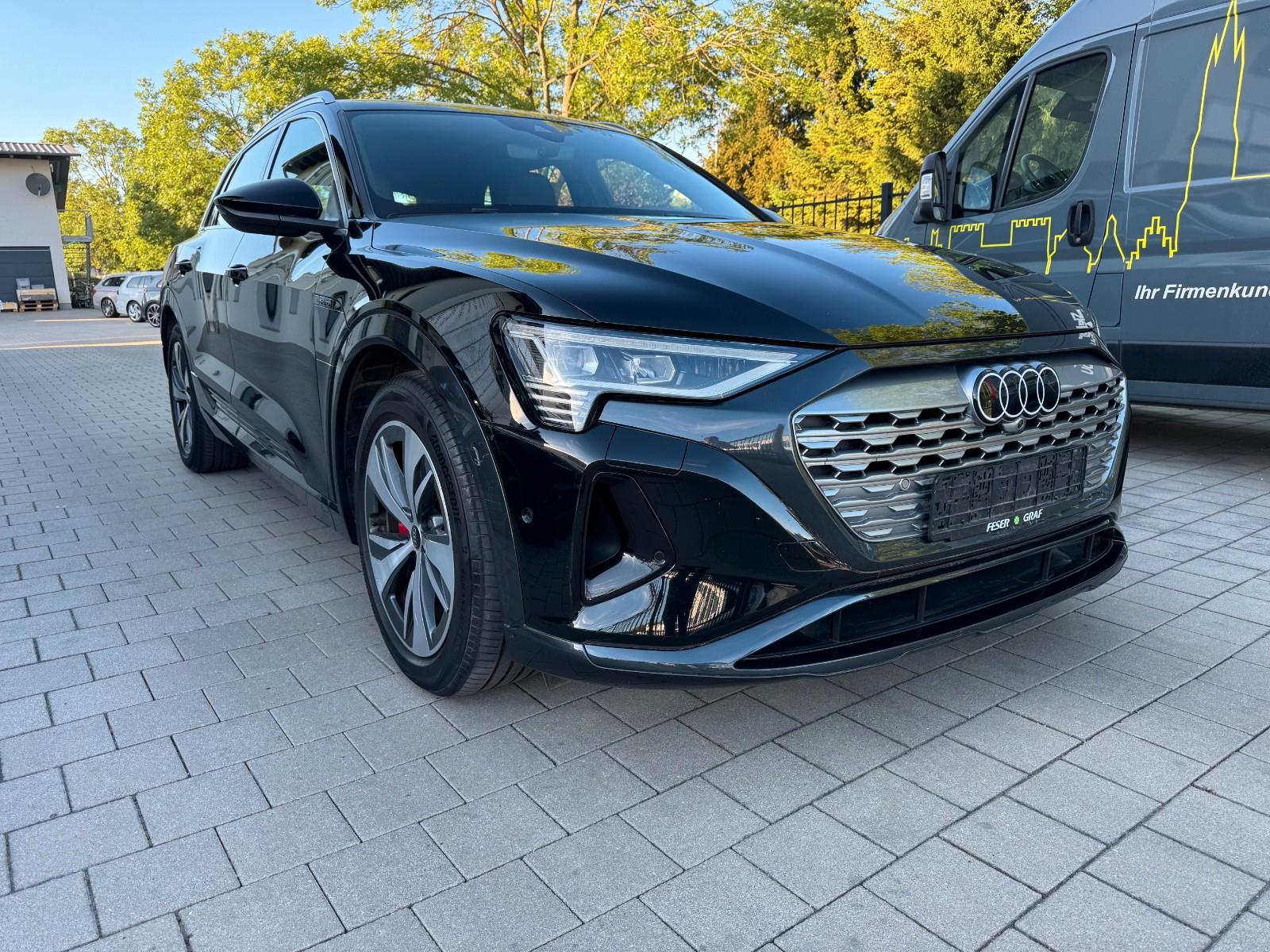 Audi Q8 e-tron 55 Matrix Head-Up 4-Zonen Kamera