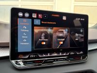 Cupra Terramar VZ 2.0 TSI DSG 4Drive 5J GAR *AKTION* bei Autohaus Landmann & Maier OHG