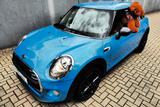 MINI ONE First 1.Hand original 23.200km! - MINI MINI: Original