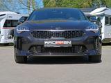 Kia Stinger GT 4WD 3.3 V6 Pan-Dach - Kia Stinger Gebrauchtwagen