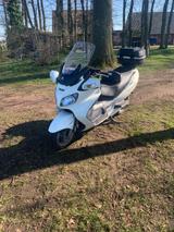 Suzuki Burgmann 650 Executive  - SUZUKI BURGMAN 650