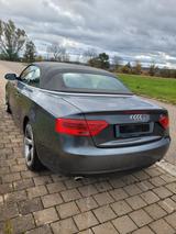 Audi A5 3.0 TDI S tronic quattro Cabriolet STHZ AHK - Audi A5: Standheizung, Cabrio