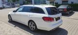Mercedes-Benz E 250 BlueTec 4Matic*Avantgarde*Ahk*Led*T-Led* - Mercedes-Benz E-Klasse Gebrauchtwagen