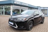 Lexus UX 250h HYBRID Automatik Launch Edition*KEYLESS* - Lexus UX Gebrauchtwagen