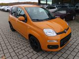 Fiat Panda More - Fiat Panda: Orange