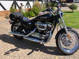 Harley-Davidson Sportster XL1200 low - Offers