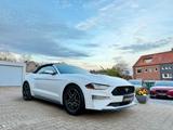 Ford Mustang Performance Cabrio*Kamera*Leder*LED* - Ford Mustang Gebrauchtwagen in Bochum