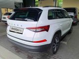 Skoda Kodiaq 2.0 TDI DSG / Matrix, ACC, Pano, Navi, SH - Skoda Kodiaq aus 2022