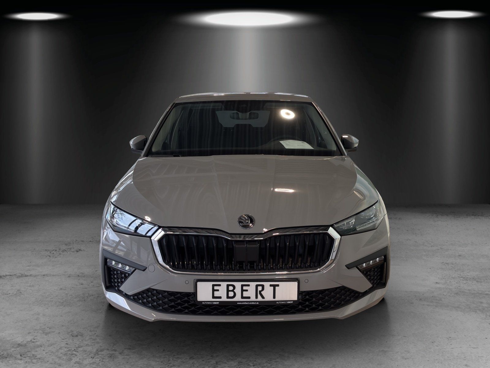 Fahrzeugabbildung SKODA Scala Tour 1,0 TSI 85 kW DSG