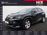Lexus NX 300h E-FOUR Luxury Line KAMERA - Lexus aus 2016