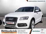 Audi SQ5 3.0 TDI competition quattro XENON+NAVI - Audi SQ5 in Osnabrück