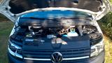 Volkswagen T6 andere - VW T6 andere von privat