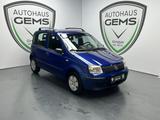 Fiat Panda 1.1 8V Active  - Fiat Panda: Blau