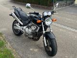 Honda CB 600 F Hornet PC34 - Offers matching your search criteria