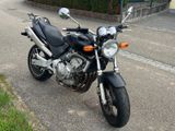 Honda CB 600 F Hornet PC34 - HONDA HORNET 600 PC34
