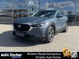 Mazda CX-30 2.0 (186PS) Autom. Selection Des-P. Prem-P - Mazda CX-30 Gebrauchtwagen in Frankfurt