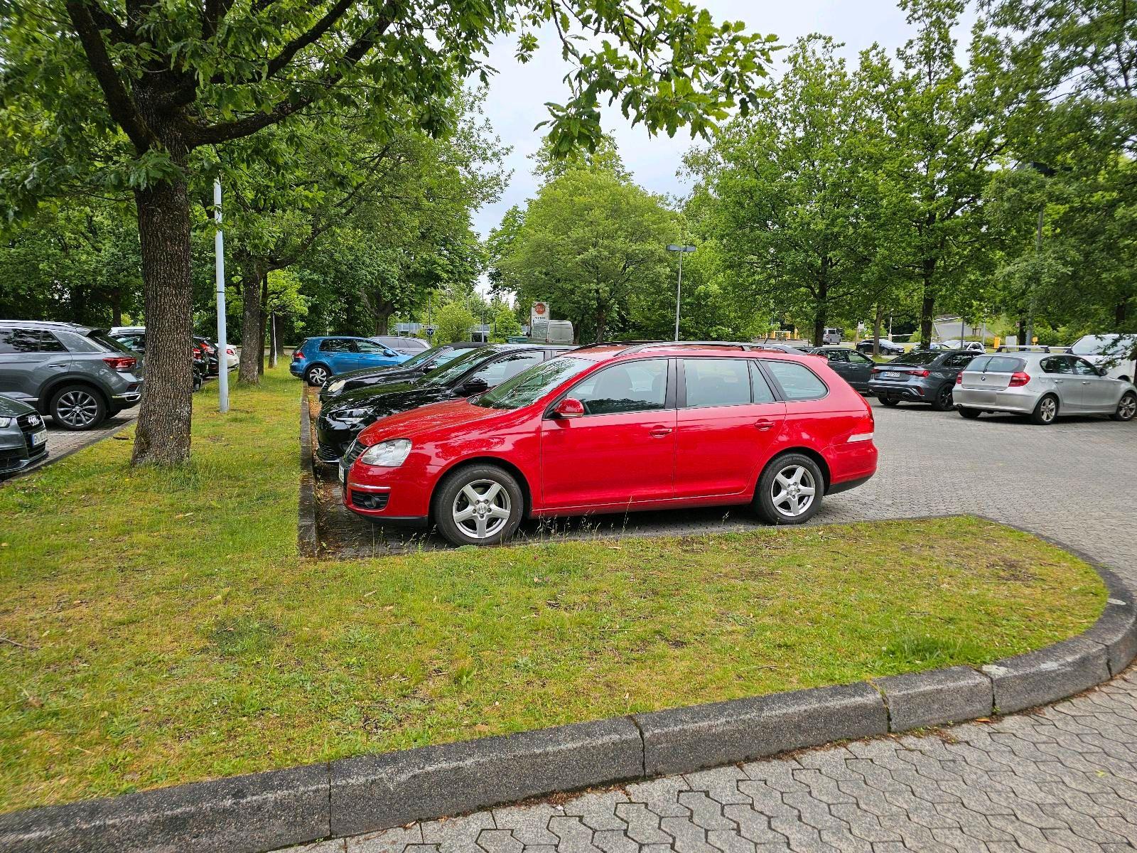Volkswagen Golf 2009 — photo 5