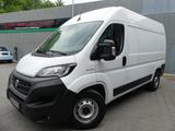 Fiat Ducato Kasten 35 L2H2 RS: 3450 AUTOMATIK/KIMAUT/ - Fiat Gebrauchtwagen von 2021