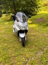 Piaggio X8 - Offers matching your search criteria